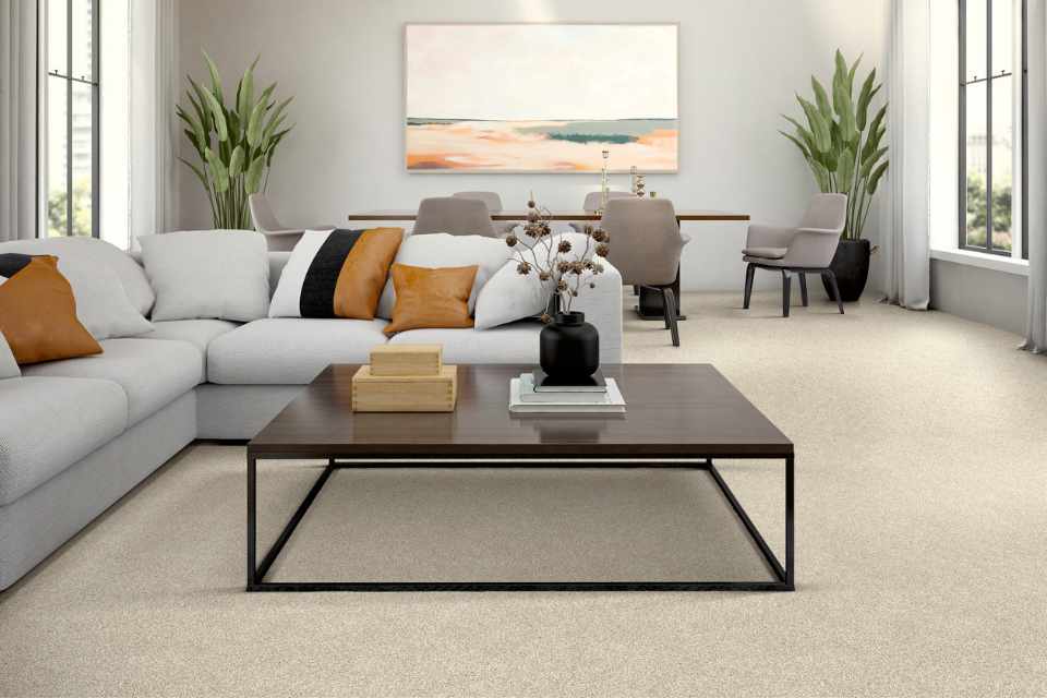 beige cut pile carpet in living room with earth toned accents